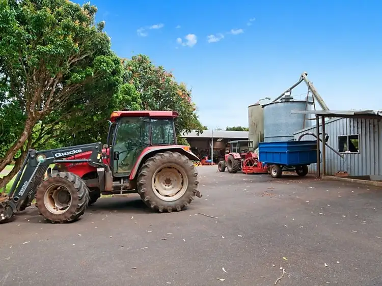 Seventh view of Homely rural property listing, 423 Friday Hut Road, Brooklet NSW 2479