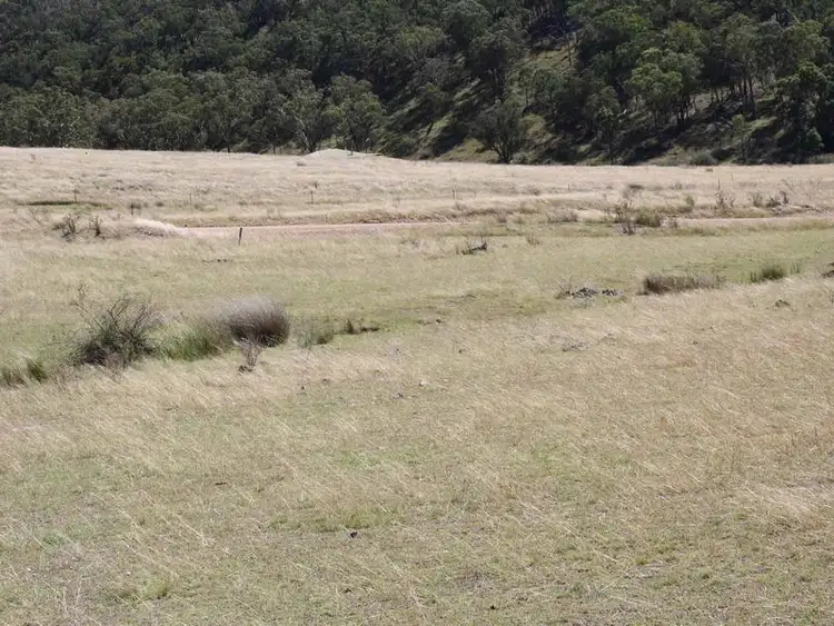 Third view of Homely rural property listing, 19/702965 Gulf Road, Emmaville NSW 2371