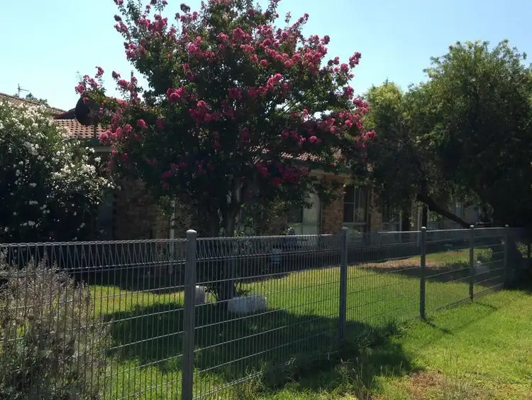 Main view of Homely unit listing, 3/244 Brisbane Street, Dubbo NSW 2830
