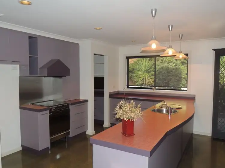 Second view of Homely house listing, 19 Wilkins Grove, Swan Hill VIC 3585