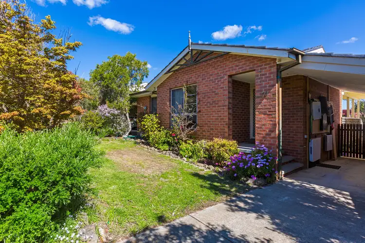 Fifth view of Homely house listing, 7 Archel Place, Palmerston ACT 2913