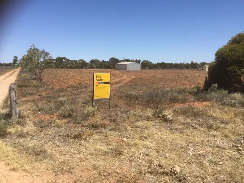 Main view of Homely land listing, Lot 3/360 Hunt Road, Loveday SA 5345