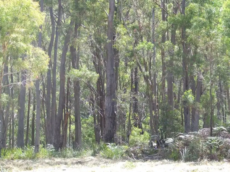 Second view of Homely land listing, 701a Binalong Bay Road, Binalong Bay TAS 7216