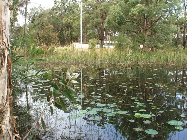 Seventh view of Homely land listing, 32 Bohnock Road, Bohnock NSW 2430
