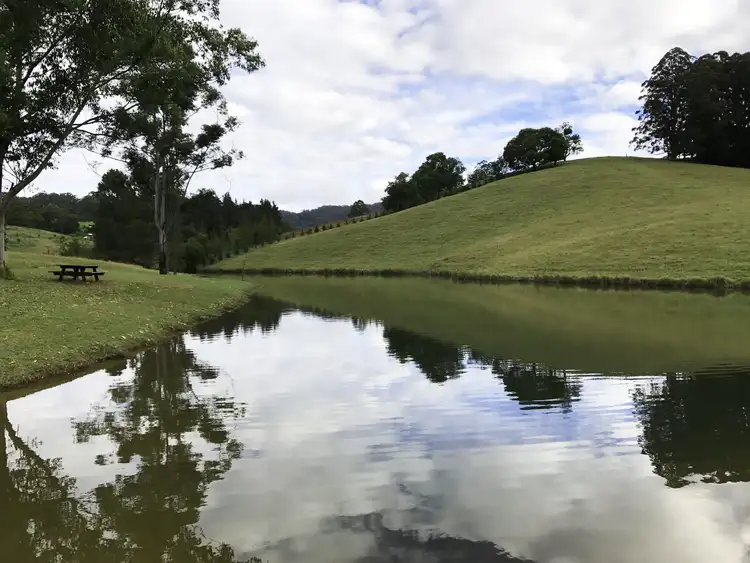 Third view of Homely rural property listing, 305 West Bulga Road, Elands NSW 2429