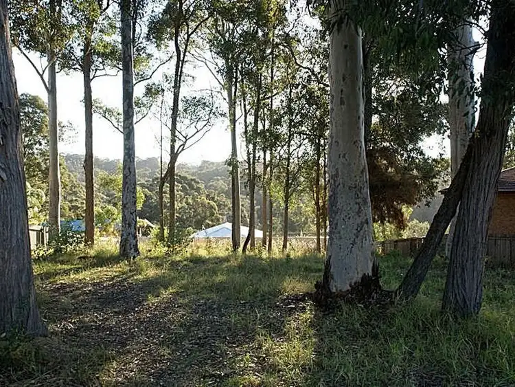 54 Heron Road, Catalina NSW 2536