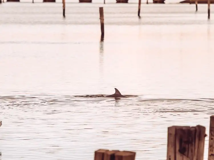 Fourth view of Homely house listing, 22 Yao Cove, New Port SA 5015