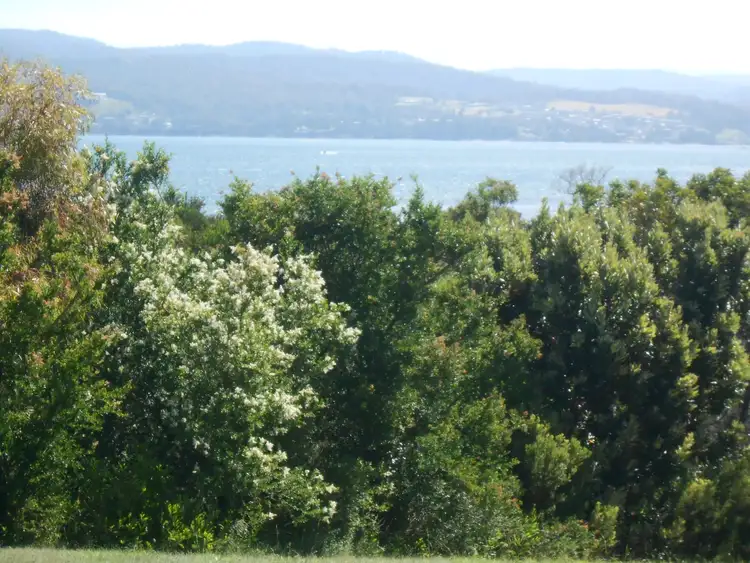 Fifth view of Homely land listing, 19 Luck Court, Akaroa TAS 7216
