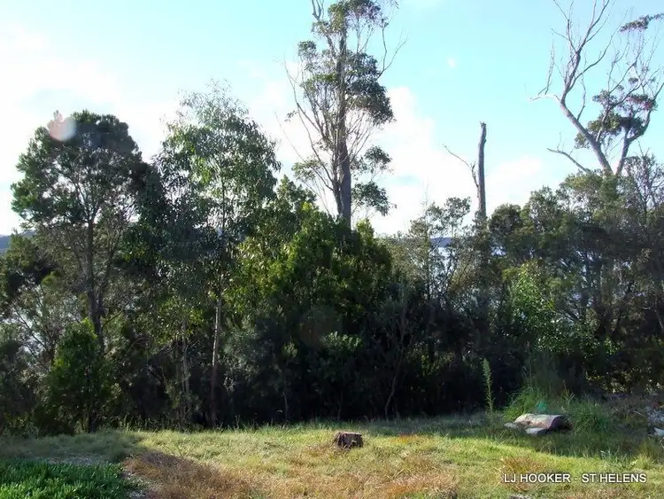 Fourth view of Homely land listing, 53 St Helens Point Road, Stieglitz TAS 7216