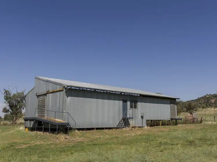 Fifth view of Homely rural property listing, SPRINGVIEW Loch Lomond Road, Gooloogong NSW 2805
