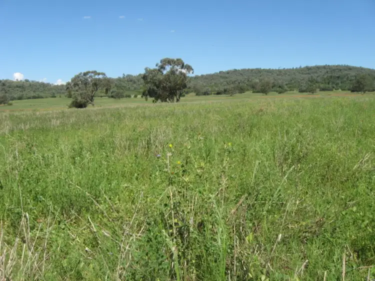 Fifth view of Homely rural property listing, Alan Cunningham Road, Bingara NSW 2404