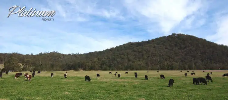 Fourth view of Homely rural property listing, 347 Nerrigundah Mountain Road-Stockyard Farm, Bodalla NSW 2545