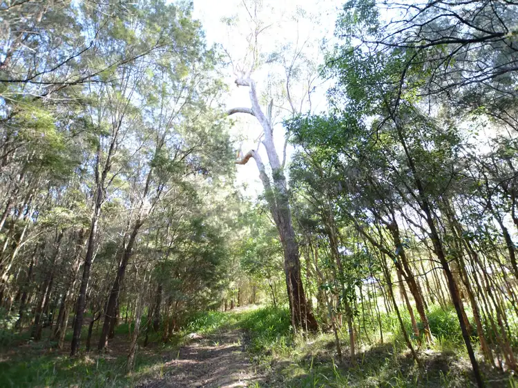 Sixth view of Homely land listing, 124 Heron Road, Old Bar NSW 2430