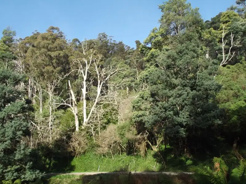 Main view of Homely land listing, PID 680567 Lottah Road, Goulds Country TAS 7216