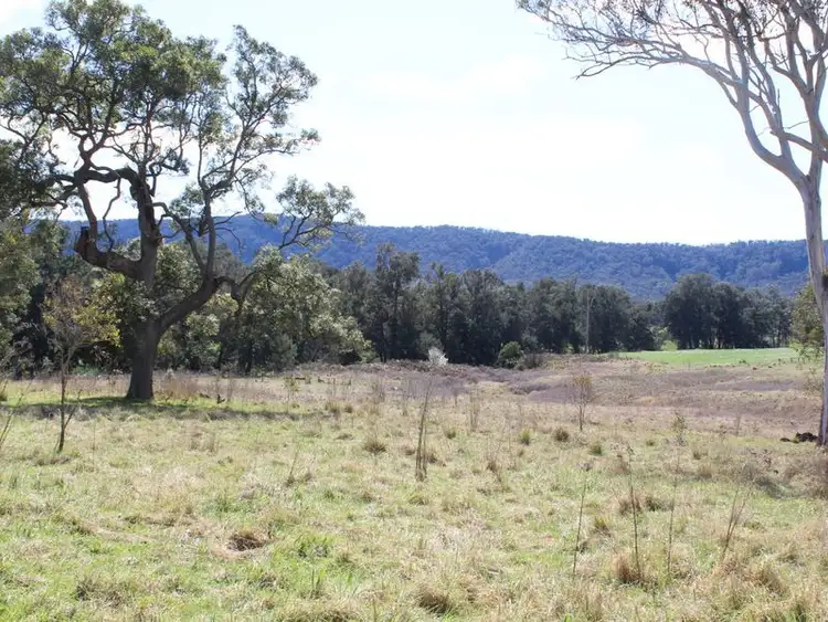 Third view of Homely rural property listing, 78 Apps Road, Angledale NSW 2550