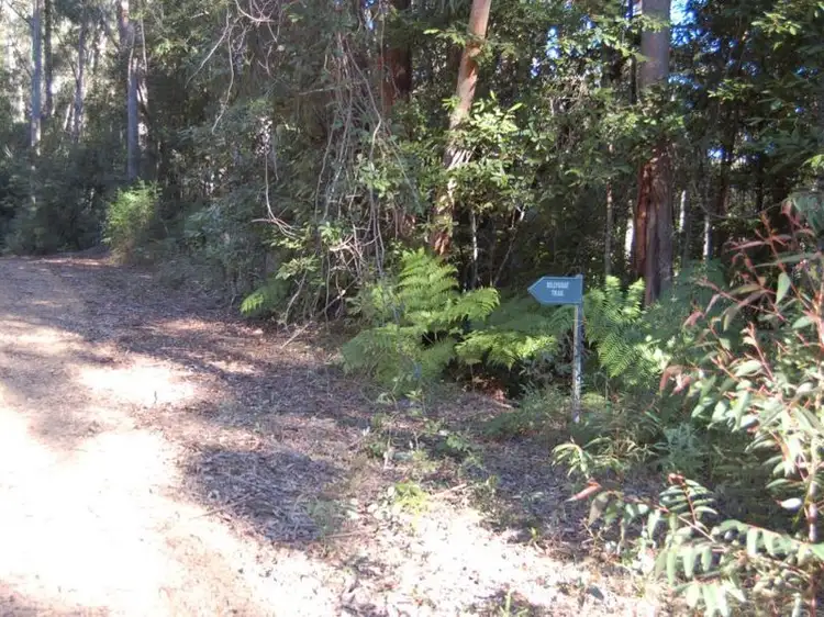 Main view of Homely rural property listing, Lot 34 & 3 Upper Buckrabenndinni, Bowraville NSW 2449