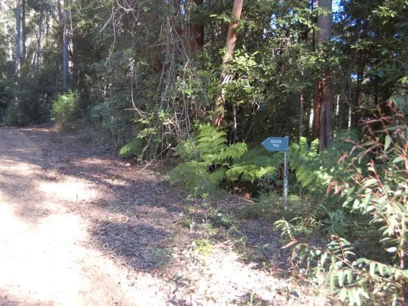 Main view of Homely rural property listing, Lot 34 & 3 Upper Buckrabenndinni, Bowraville NSW 2449