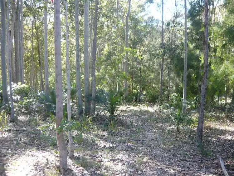 Sixth view of Homely land listing, 3488 Tathra Bermagui Road, Akolele NSW 2546