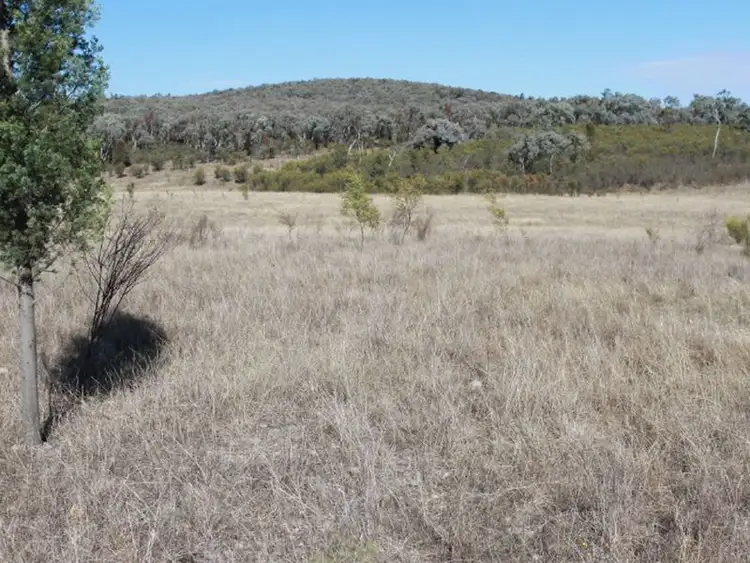 Seventh view of Homely rural property listing, Lot 3 Silent Grove Rd, Torrington NSW 2371
