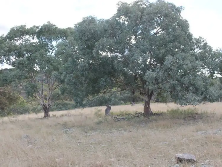 Fourth view of Homely rural property listing, Lot 16 Gulf Rd, Emmaville NSW 2371