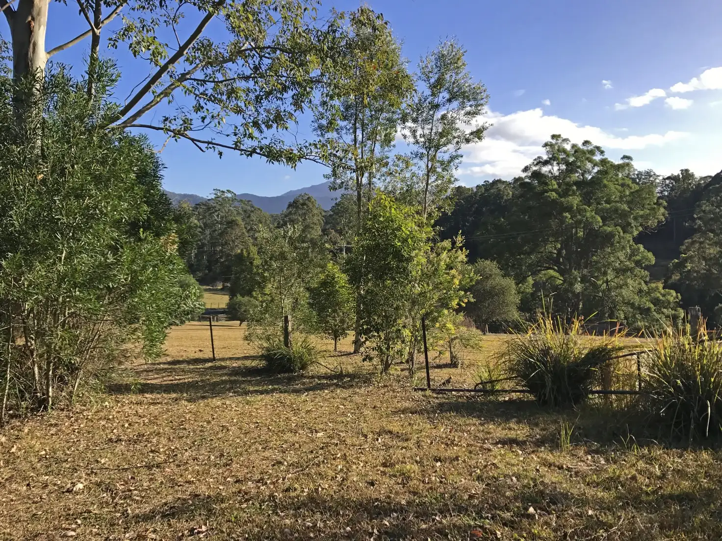 Main view of Homely land listing, 1626 Comboyne Road, Killabakh NSW 2429