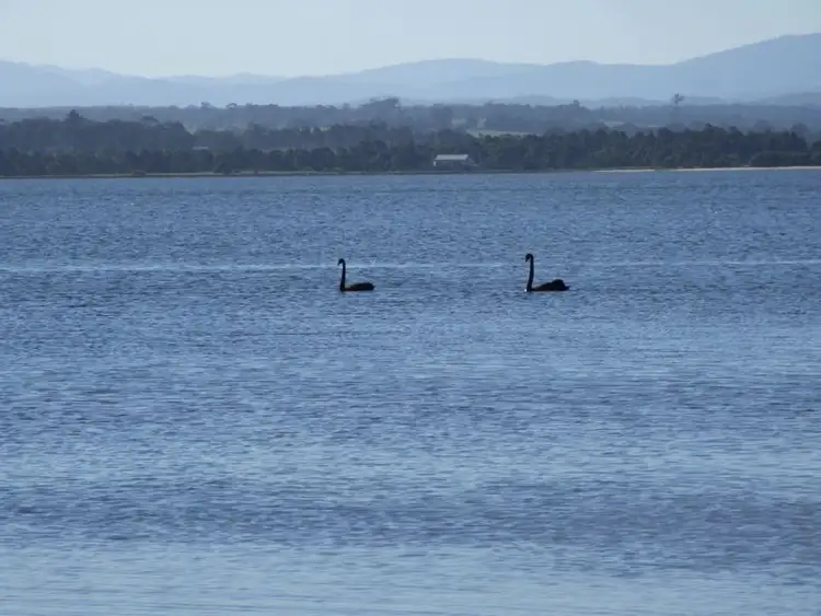 Fourth view of Homely land listing, 3 Falcon Grove, Metung VIC 3904