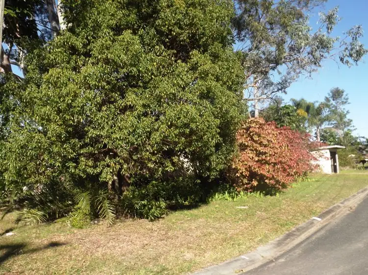 Fifth view of Homely land listing, 31 Dalgety Street, Woolgoolga NSW 2456