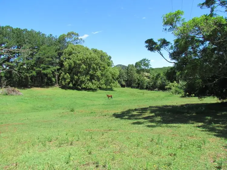 Second view of Homely rural property listing, 302 Sneaths Road, Alstonville NSW 2477