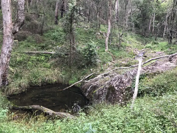 Sixth view of Homely rural property listing, 1383 Enfield Range Road, Cooplacurripa NSW 2424