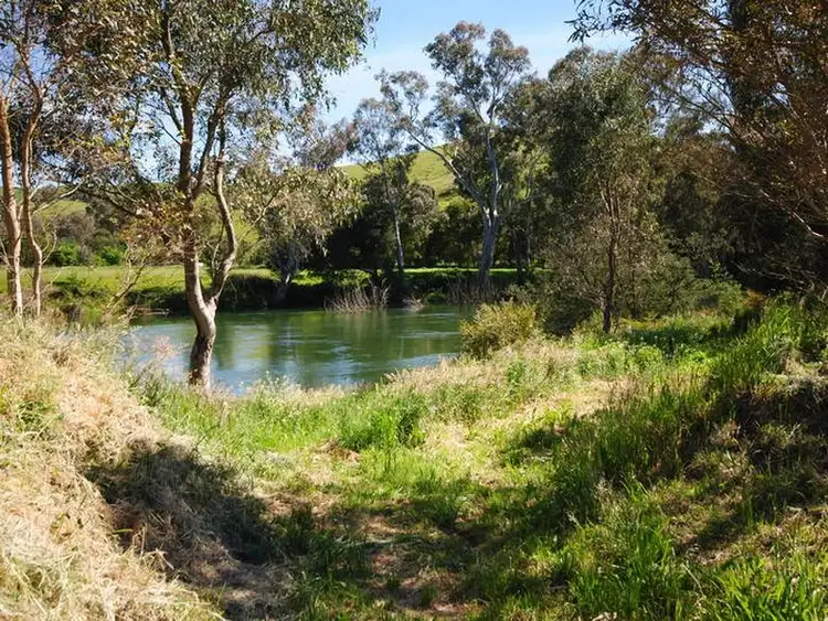 Fifth view of Homely rural property listing, 664 Goulburn Valley Highway, Thornton VIC 3712
