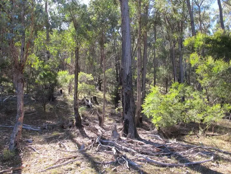 Third view of Homely rural property listing, 6/2285 Emmaville Road, Glen Innes NSW 2370