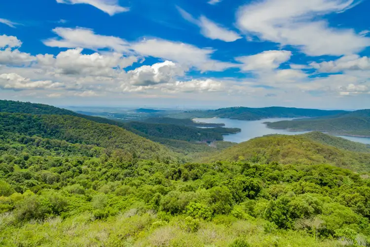 Sixth view of Homely land listing, 805 Beechmont Road, Lower Beechmont QLD 4211