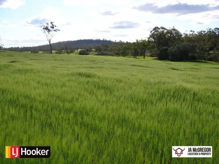 Fifth view of Homely rural property listing, Gragin Peak Road, Warialda NSW 2402