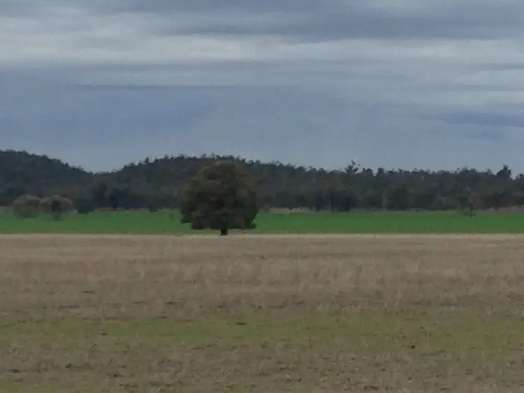 Seventh view of Homely rural property listing, 374 Ganantagi Rd, Ootha NSW 2875