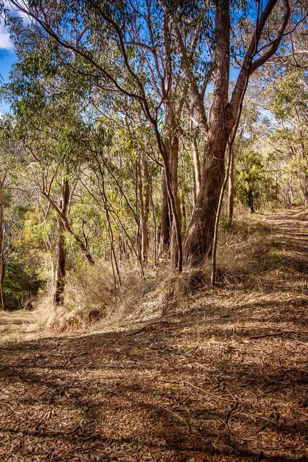 Fourth view of Homely land listing, Lot 276 & Mawson Road, Basket Range SA 5138
