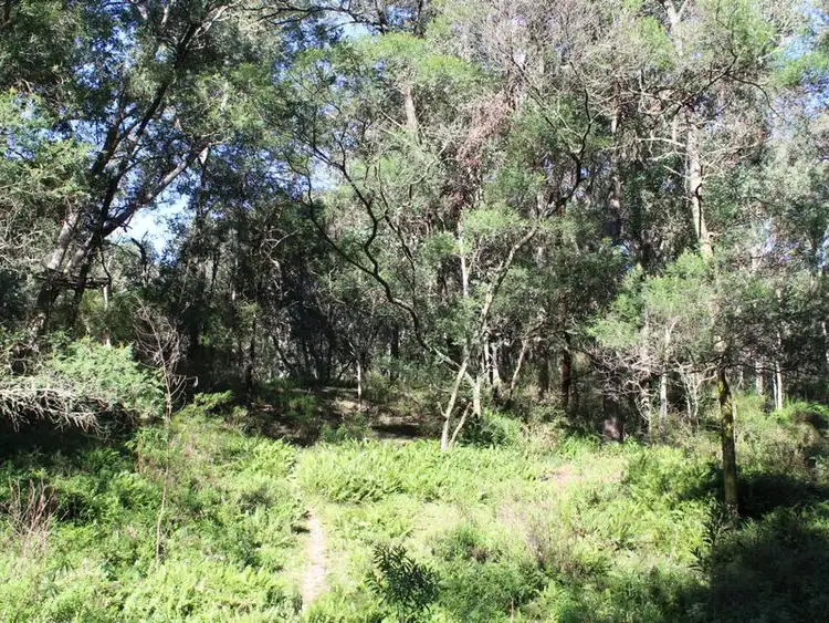 Sixth view of Homely land listing, Lots 15 & Eagles Nest Road, Brogo NSW 2550