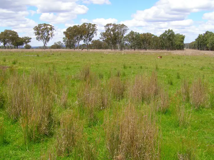 296 Limestone Road, Ashford NSW 2361