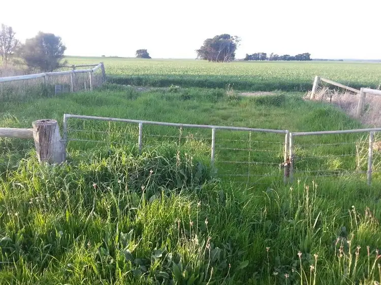 Third view of Homely rural property listing, Hookings Road, Tantanoola SA 5280