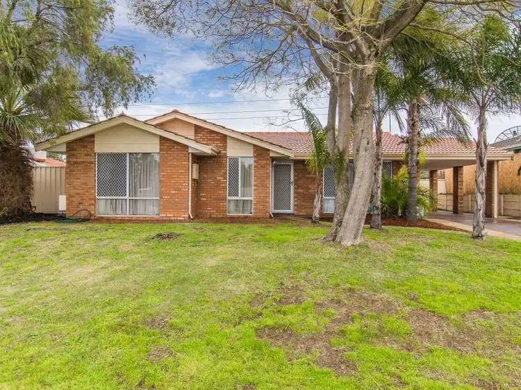 Main view of Homely house listing, 45 Dotterel Way, Yangebup WA 6164
