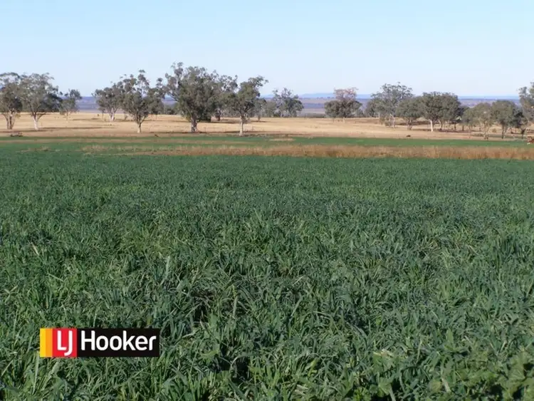 1655 Glenesk Road, Inverell NSW 2360
