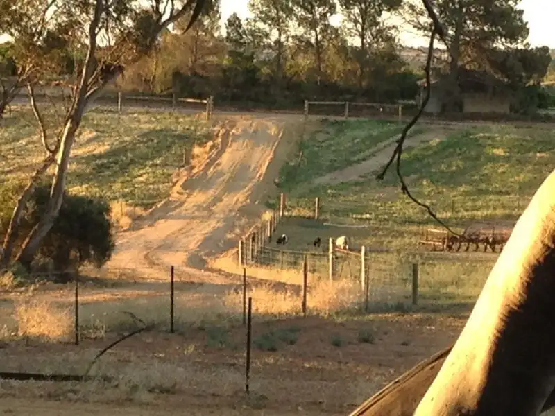 Main view of Homely house listing, 35 Olive Tree Road, Moorook SA 5332