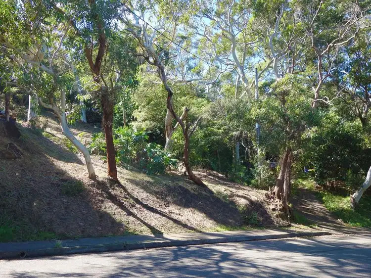 Main view of Homely house listing, 131 Whale Beach Road, Avalon Beach NSW 2107