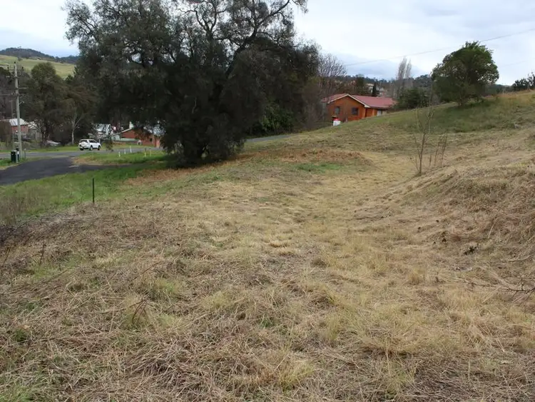 Main view of Homely land listing, 20 Bega Street, Candelo NSW 2550