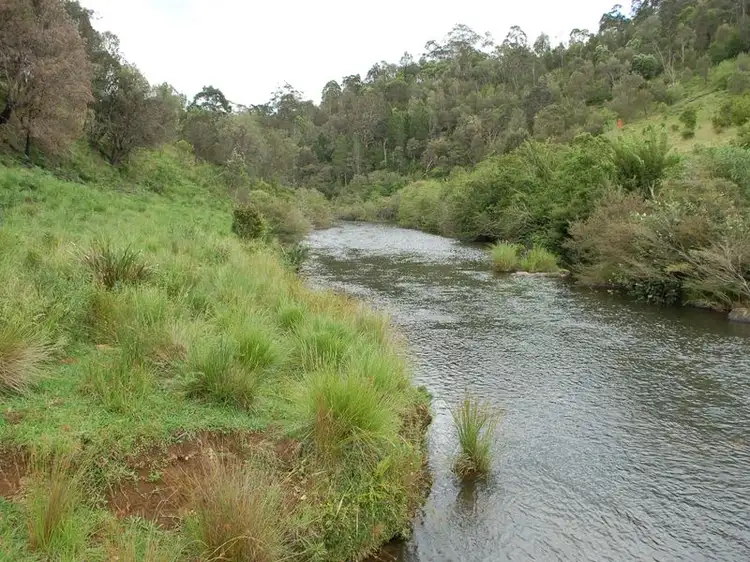 Third view of Homely rural property listing, GANGARA Neaves Rd Deer Vale, Dorrigo NSW 2453