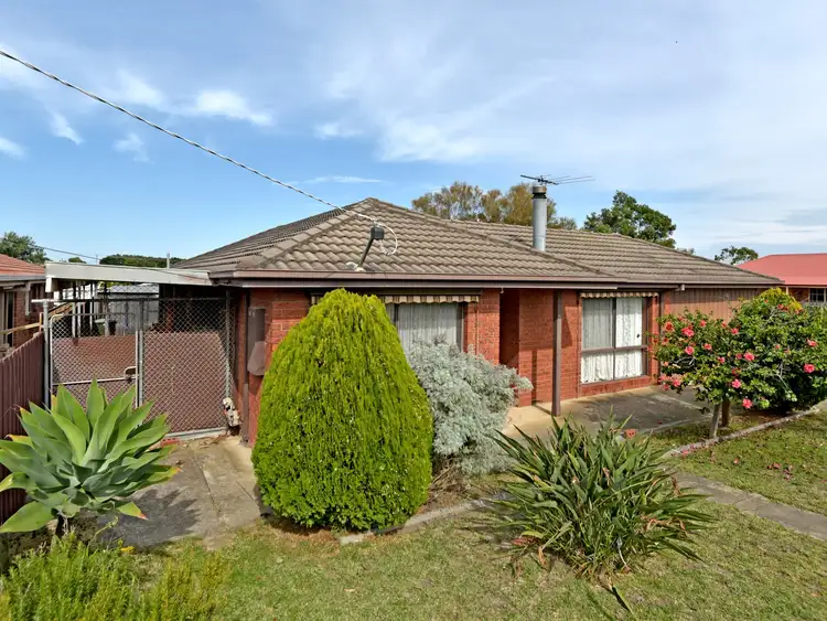 Main view of Homely house listing, 11 Trilby Avenue, St Leonards VIC 3223