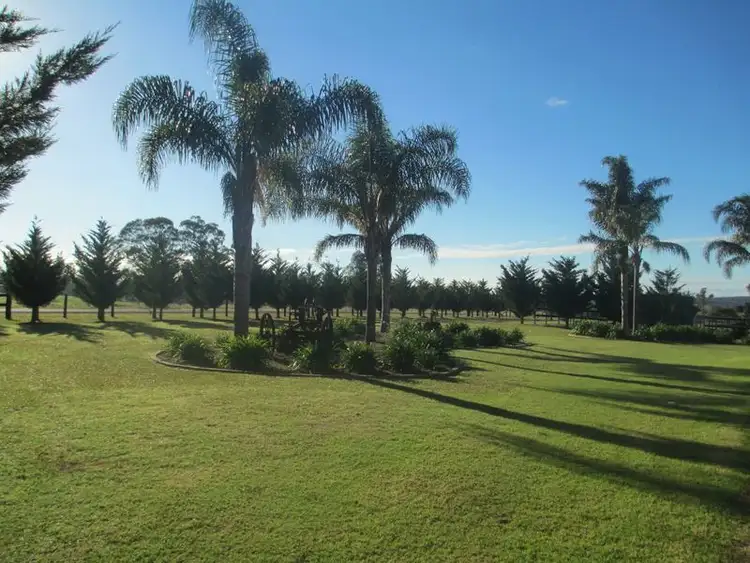 Sixth view of Homely house listing, 151 Larry's Mountain Road, Moruya NSW 2537