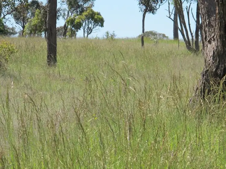 Third view of Homely land listing, Lots 19 & New England Highway, Deepwater NSW 2371