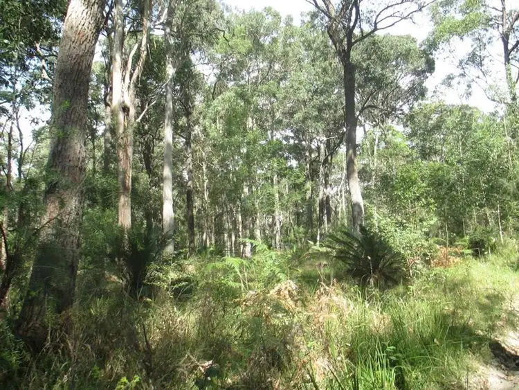 Lot 45 Brindabella Street, Bergalia NSW 2537