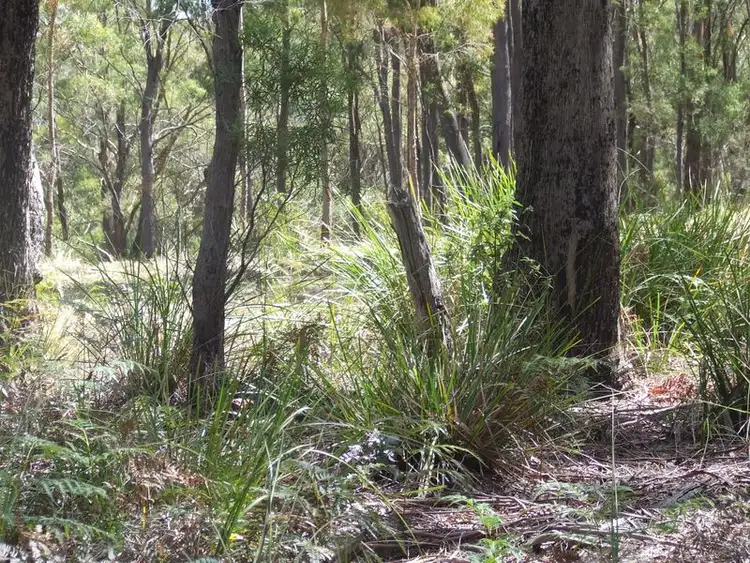 Fifth view of Homely land listing, 701a Binalong Bay Road, Binalong Bay TAS 7216