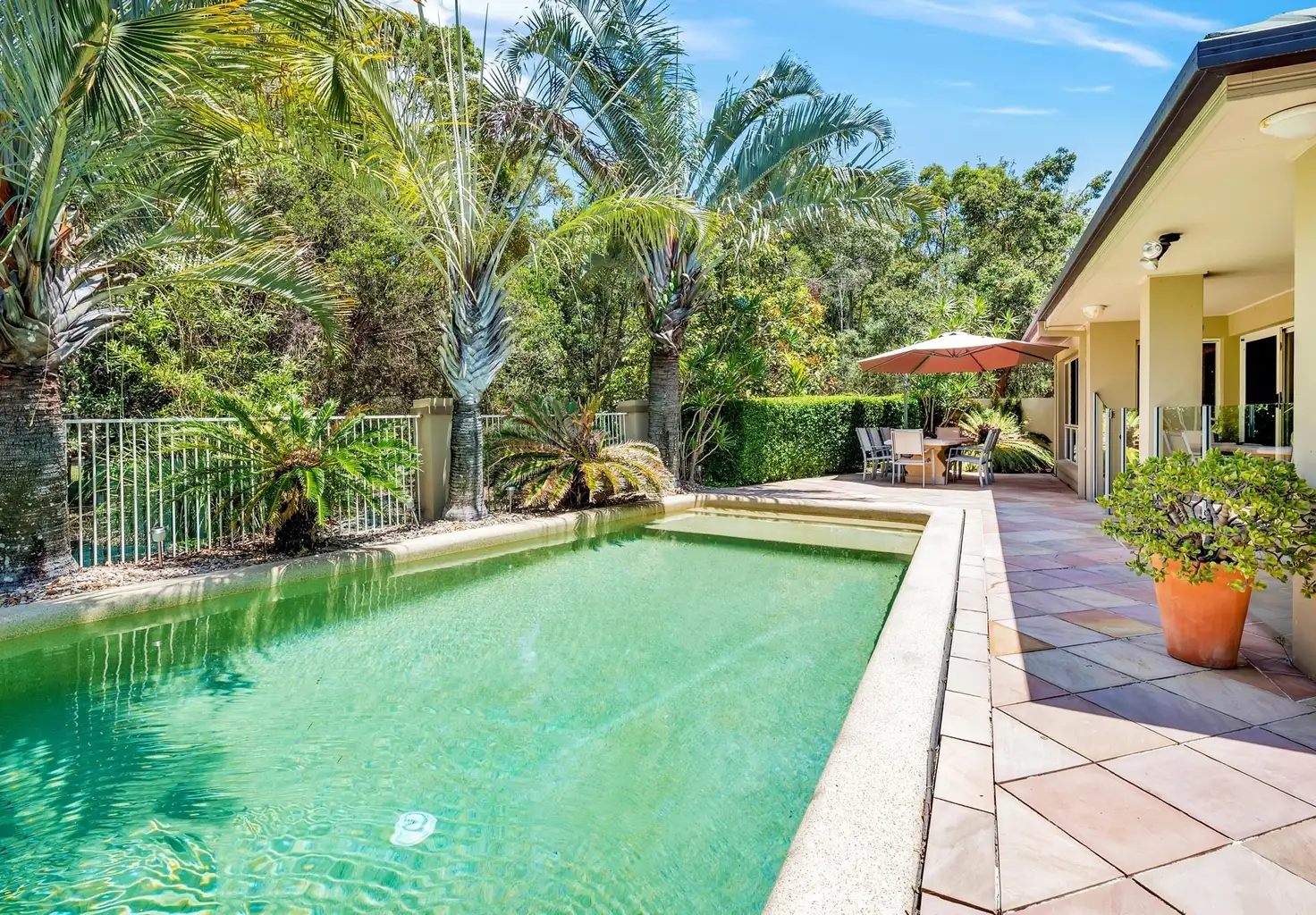 Main view of Homely house listing, 19 Cedarwood Crescent, Robina QLD 4226